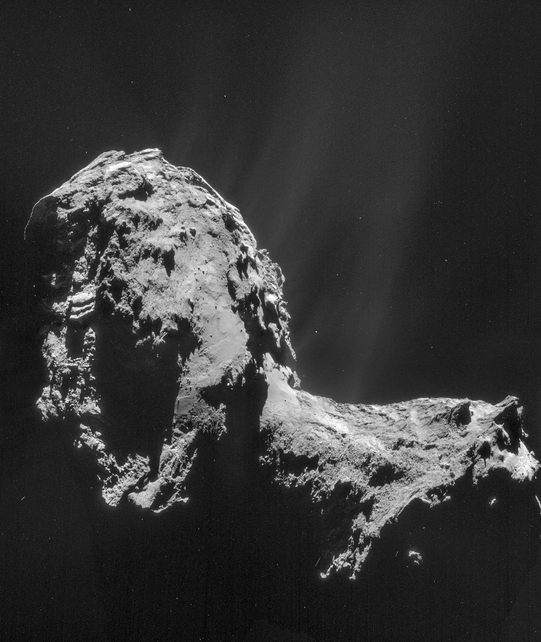 Rosetta Studies A Comet