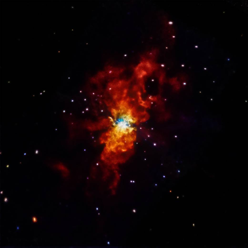 Supernova SN 2014J Explodes