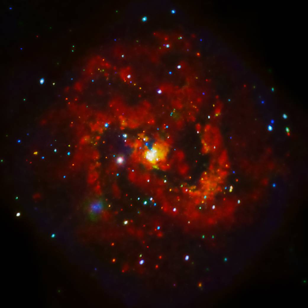 Young Supernova