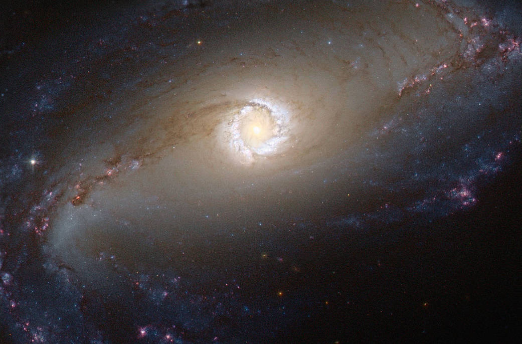 The Seyfert Galaxy NGC 1097