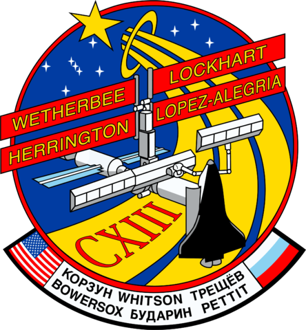 STS-113 Patch